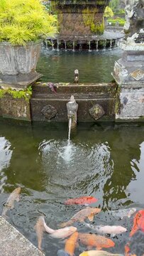 Fountain in Imperial swimming baths. Taman Tirta Gangga, 
Abang, Bali, Indonesia