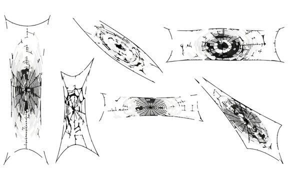 Hand-drawn microscope paramecium cell illustrations. Scientific protist infographic vector set. Vintage black and white biology diagrams. Halloween