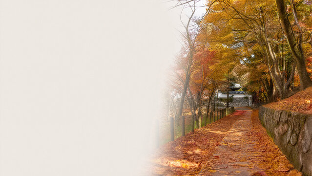 A quiet path covered with fallen autumn leaves in soft light - japanese autumn stroll season banner with copy space