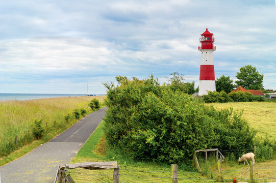 Falsh&ouml;ft lighthouse in Geltinger Birk with grazing sheep and coastal landscape.