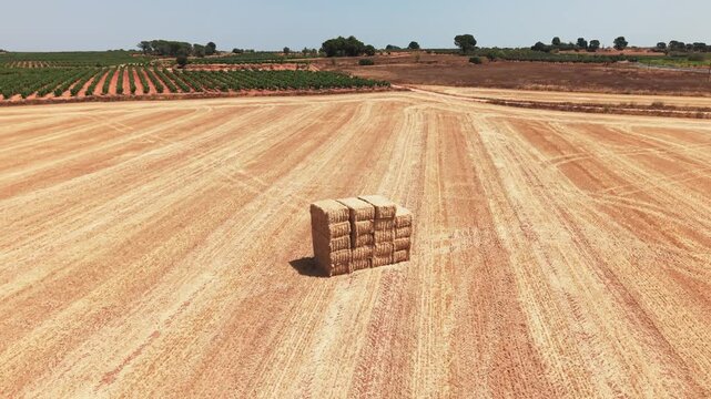 Single stack of hay bales on harvested wheat field viewed from drone