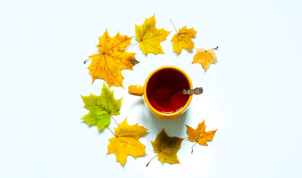 Autumn background - bright yellow mug filled with tea placed in the center of a circular arrangement of yellow autumn leaves on white background
