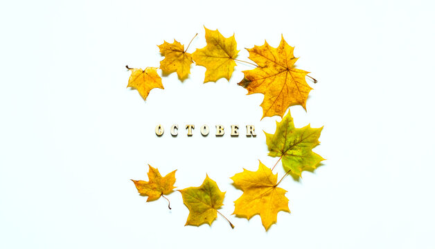 Autumn background - bright yellow autumn maple leaves forming a round frame with wooden letters spelling October on a white background