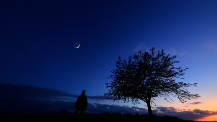 Silhouette of a person in nature observing night sky, Moon, stars and planets from a remote location. © astrosystem