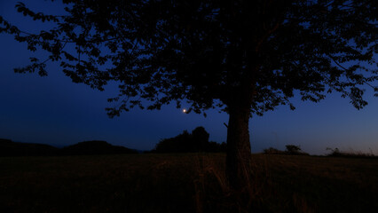 Moon on a twilight sky with stars, planets and landscape mountain silhouettes. © astrosystem