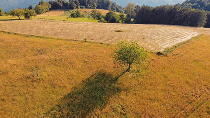 Naklejka premium Tranquil sunny summer landscape with green fields and hills.