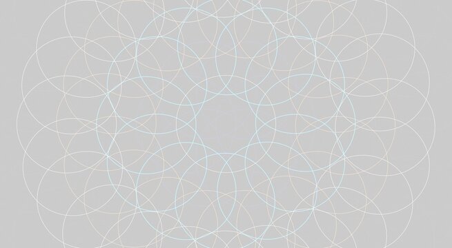 Geometric mandala pattern composed of intersecting thin white circular lines on a solid light gray background, symmetrical circular grid