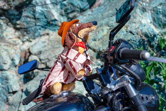 A stuffed dog toy wearing a cowboy hat, bandana and striped costume perches on a motorcycle fuel tank outdoors, a playful concept of adventure travel.