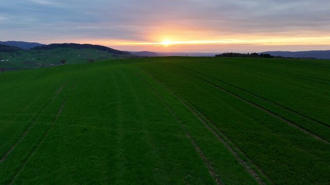 Winter cereal fields near Arisdorf, Basel-Landschaft, Switzerland, revealing emerging crop rows, rolling farmland and the village beneath a colorful sunset, fast drone forward flyover.ance)