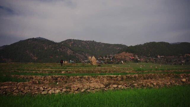 Person walking alone across vivid green terraced rice paddies bordered by a stone wall with a distant mountain village visible under a cloudy sky