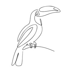 Naklejka premium Toucan bird line art drawing svg cut file. Isolated vector illustration.