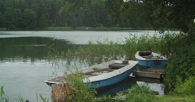 A peaceful scene featuring two blue and white rowing boats docked at a wooden pier on a quiet lake surrounded by lush green forest. Authentic nature and wellness concept.