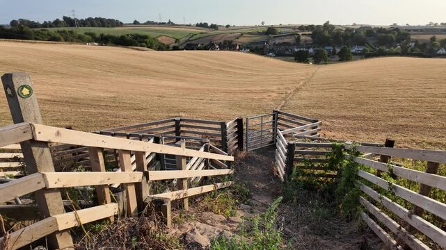 Sunlight glows softly over golden fields. Weathered wooden fences lean into the earth. Paths wind through green grass and wild shrubs. No people are visible, just quiet nature