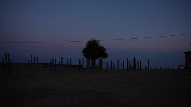 Solitary evergreen tree standing among wooden totem poles on hilltop with stone wall and hanging power line silhouetted against fading blue evening sky