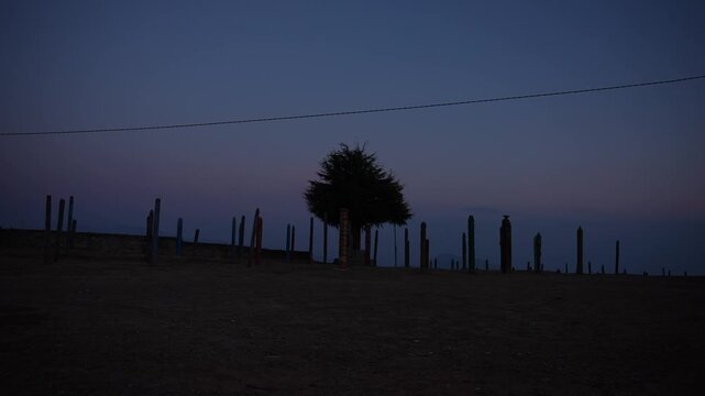 Wide angle view of decorative wooden pillars encircling lone tree on hilltop plaza at dusk with stone boundary wall and misty mountain silhouette beyond