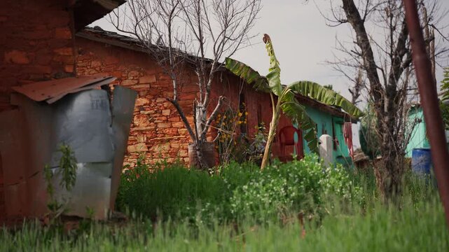 Weathered rustic village houses with red mud walls stone foundations and banana leaves growing between rusted tin sheets in overgrown rural courtyard