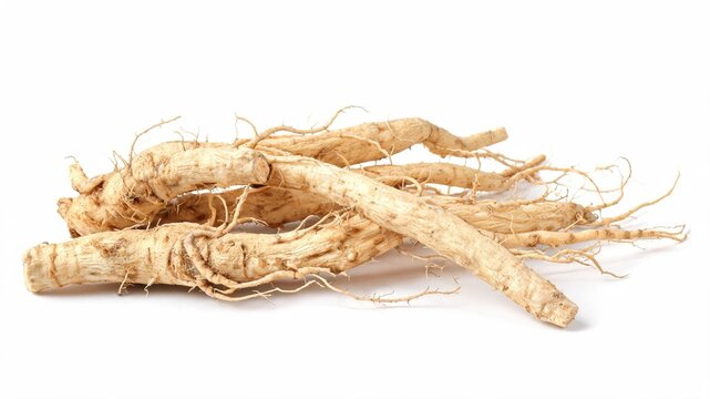 Bundle of dried Marshmallow root isolated on white background
