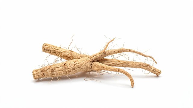 Bundle of dried Marshmallow root isolated on white background