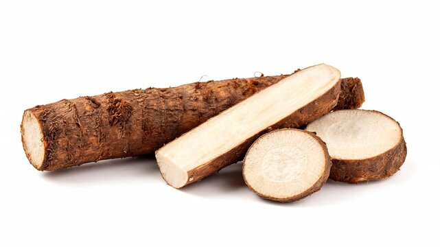 Macro cross section of Burdock root isolated on white
