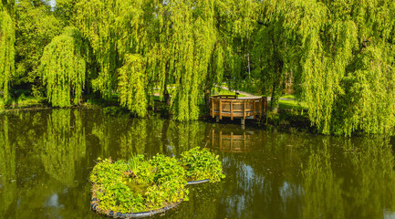 Scenic view of Orunia Park in Gdańsk, Poland, with a tranquil pond surrounded by lush greenery and willow trees. © Kamil