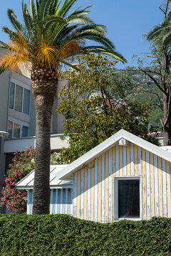 coastal beachside cottage with palm trees and hedges in relaxed setting, white and green walls, wood and metal roof, vacation rentals, real estate listings, serene and tranquil.
