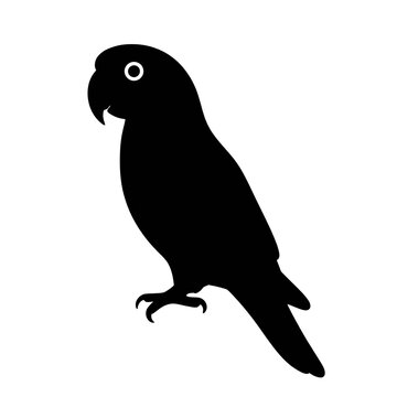 Parrot Silhouette
