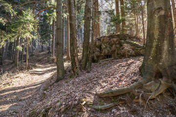 torretta esterna da difesa in cemento di un vecchio bunker sulle alture di una collina boscosa in Slovenia © PhotoMet