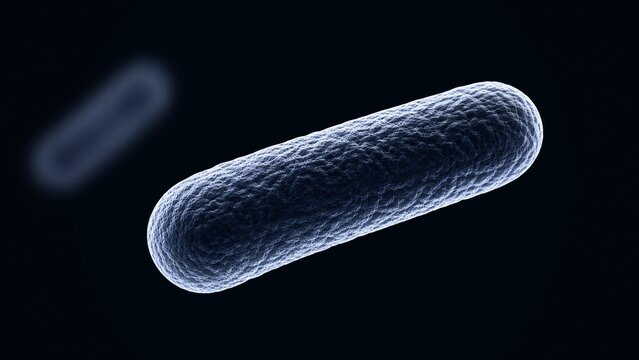 3D Microscopic Illustration of Rod Shaped Bacilli Bacteria Cell on Dark Background
