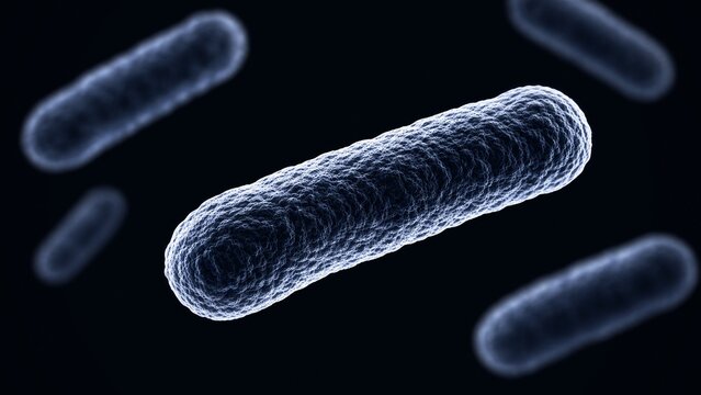 Macro 3D Render of Textured Bacilli Bacteria Microorganism Causing Infection and Disease
