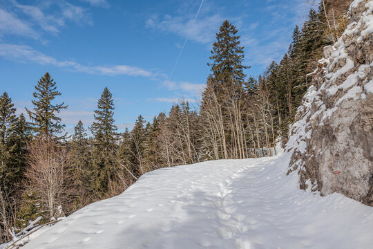 vista panoramica su di un ambiente montano innevato con alture e foreste di conifere, in Slovenia, di giorno, con cielo prevalentemente serenom in inverno, 