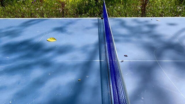 Ping pong table with outdoor under tree