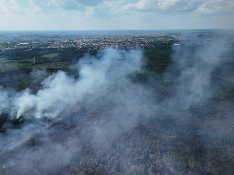 Aerial view of a forest fire with thick smoke rising over the landscape near the city of Banjarbaru, South Kalimantan, Indonesia.