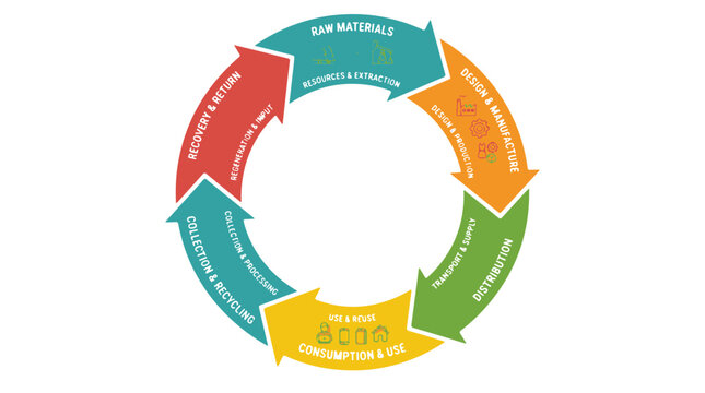 Circular Economy Diagram Illustrating Sustainable Business Stages from Raw Materials to Recycling and Reuse