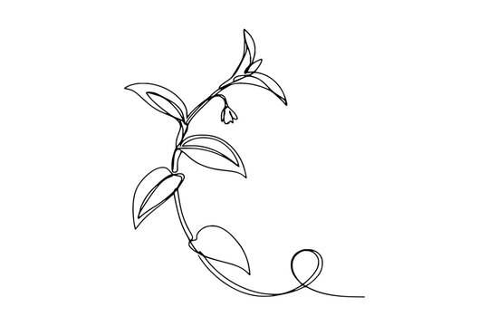 Elegant continuous line drawing of a flowering plant stem with leaves on transparent background