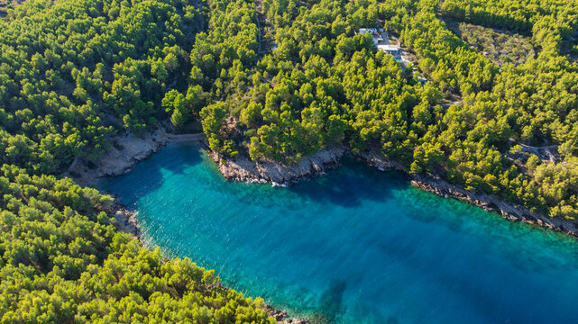 Crystal clear Adriatic Sea meets rocky coastline and Mediterranean vegetation in peaceful Uvala Maslinica. Sunny summer weather creates relaxing atmosphere for nature and coastal travel photography.