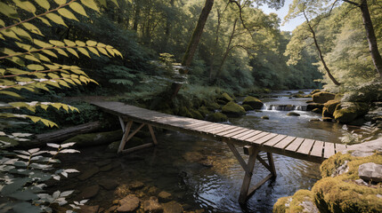Wooden bridge crossing a lush green forest river © Angellacelin