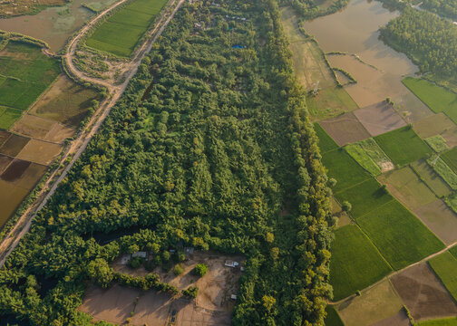 Aerial view of the lush green forest at Rana Resort and Safari Park surrounded by agricultural fields and ponds in Phool Nagar, Punjab, Pakistan.