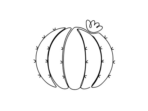 Modern one line drawing of a round cactus plant silhouette isolated on transparent background
