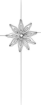 Symmetrical floral ornament line art with radial petals and crosshair lines on transparent background