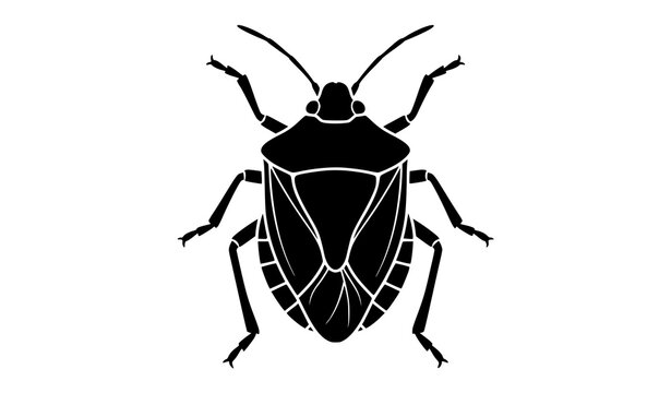 Stink bug shield insect solid silhouette vector icon