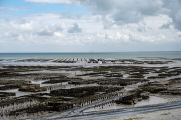 Aerial drone view of underwater oyster farms in Cancale, Brittany, exposed during low tide, raditional sustainable aquaculture and production of premium French oysters, France © barmalini