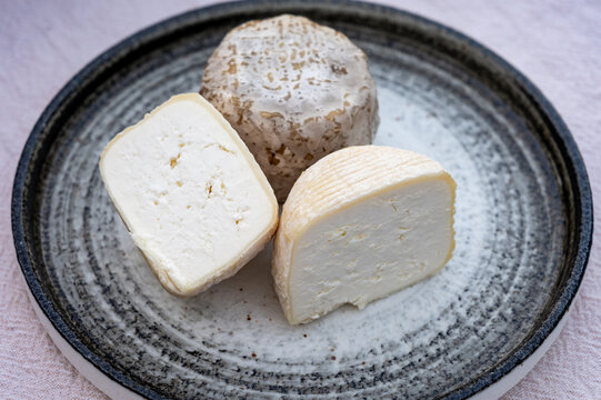 Crottin de Chavignol young and matured, small French goat cheese from Loire Valley village of Chavignol, natural rind that matures from white to bluish-grey with age in cheese farm