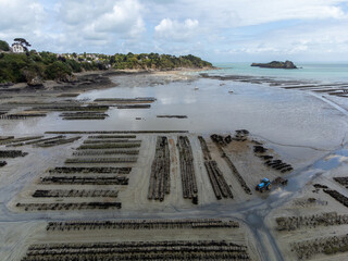 Aerial drone view of underwater oyster farms in Cancale, Brittany, exposed during low tide, raditional sustainable aquaculture and production of premium French oysters, France © barmalini