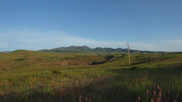 Rolling Grassland and Sainfoin (Onobrychis viciifolia) Beneath a Mountain Ridge in June