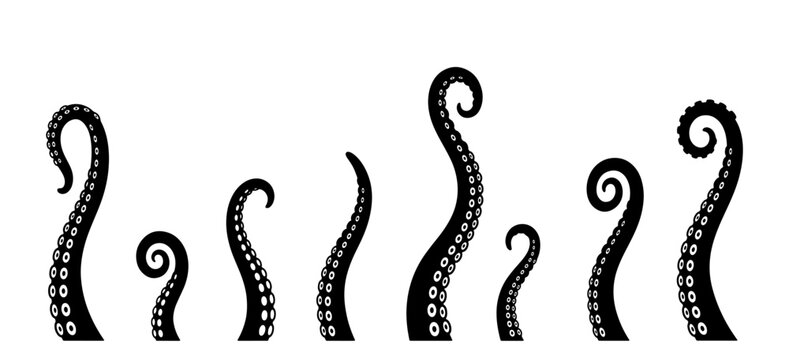 Collection of seven black octopus tentacles of varying sizes, illustrating marine life and aquatic elements for design.