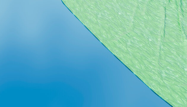 Close-up image highlighting the detailed texture of a green leaf