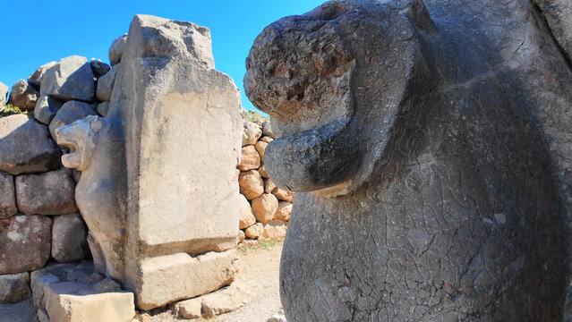 Stone lions flank the ancient Lion Gate entrance set into cyclopean masonry at Hattusa, the historic Hittite capital in Turkey.