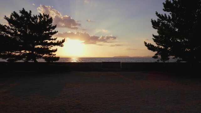 Dramatic Sunset over the Sea Framed by Silhouetted Pine Trees in Japan