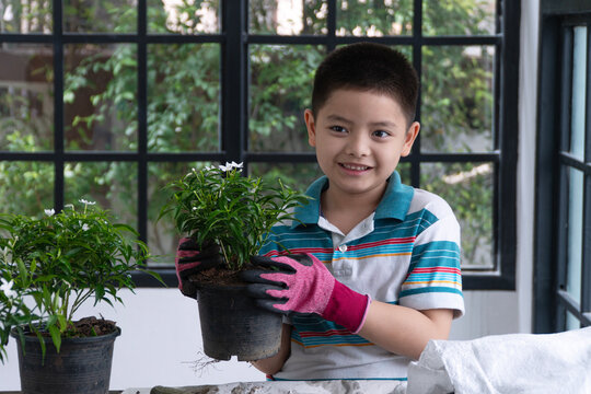 Portrait of a happy young Asian boy wearing gardening gloves holding a potted green plant with white flowers indoors near a large window. Childhood learning and home gardening concept.