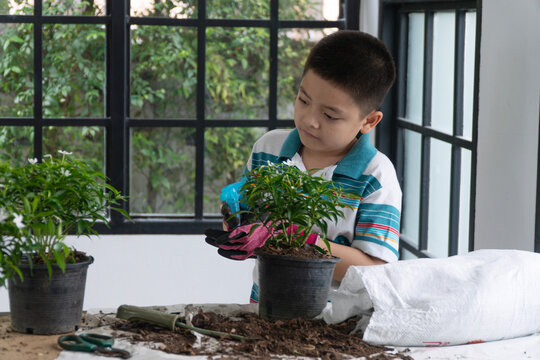 Portrait of an attentive young Asian boy wearing gardening gloves using a water spray bottle on a potted plant indoors near a window. Childhood learning and home gardening concept.